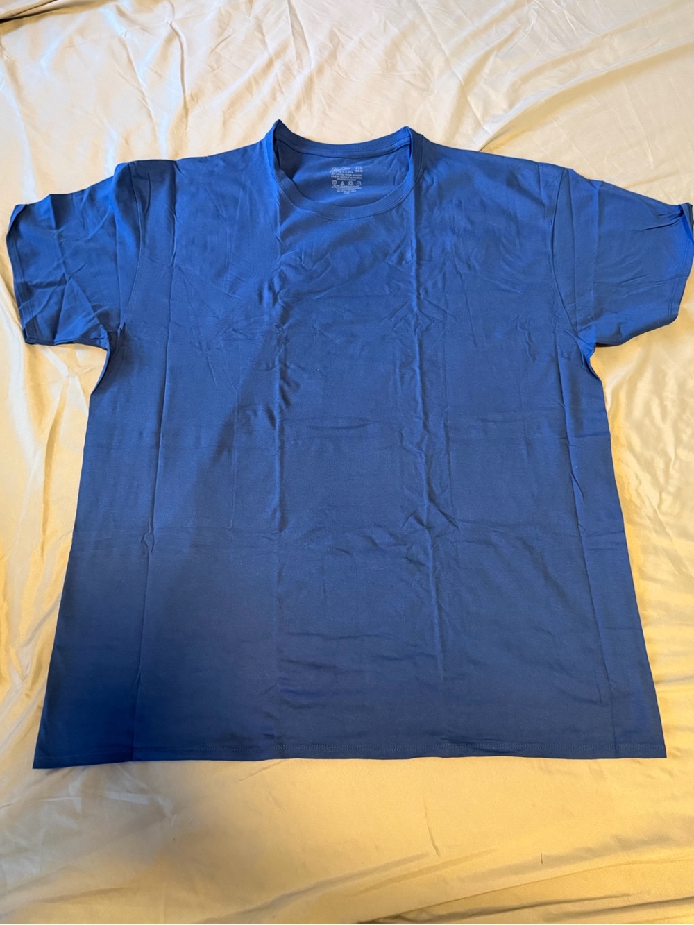 Fruit of the Loom Men's Short Sleeve Crew T-Shirt in Royal Blue